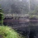 Grouse Mountain's Eco-Walk Photo - Vancouver, British Columbia 